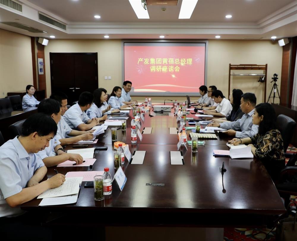 集團(tuán)黨委副書(shū)記、總經(jīng)理黃蓓帶隊(duì)調(diào)研濟(jì)南市工程咨詢(xún)?cè)? class=